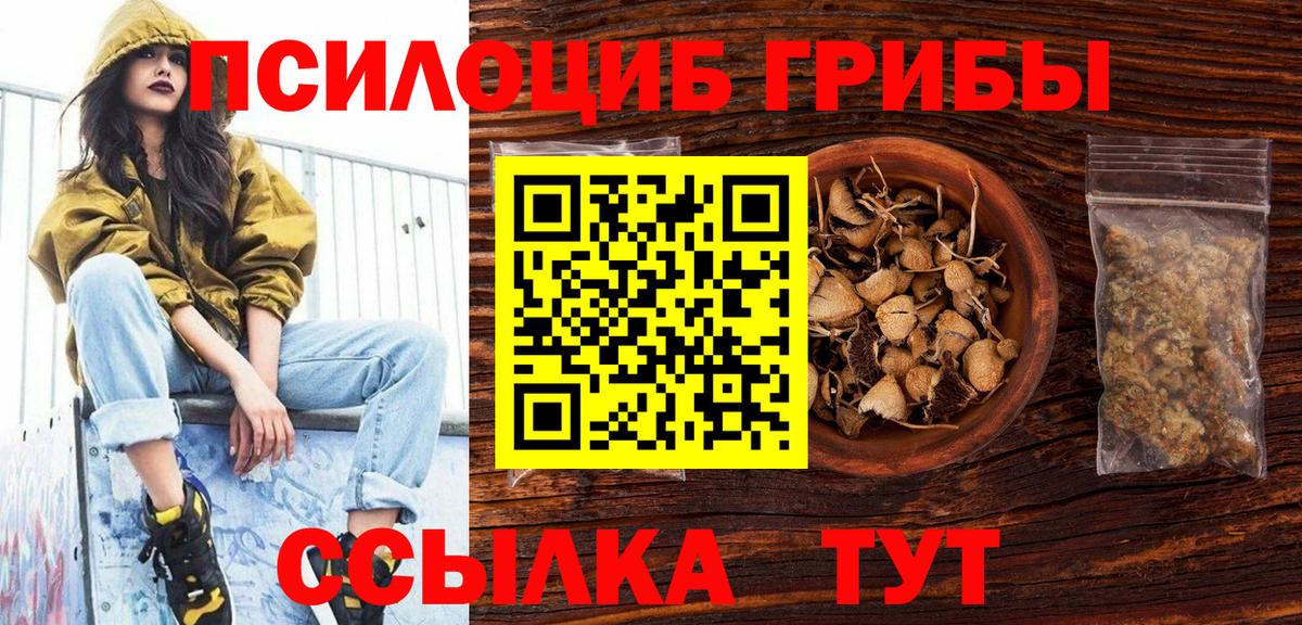 Ликино-Дулёво  Галлюциногенные грибы Psilocybine cubensis  Галлюциногенные грибы мицелий  Вход с VPN 